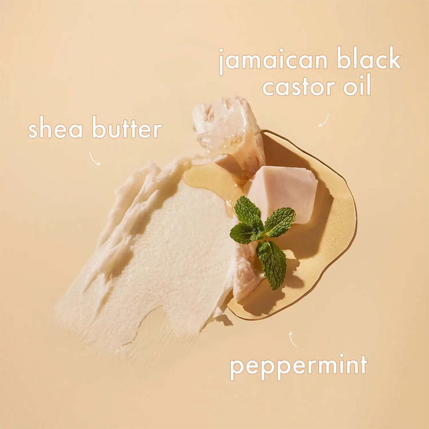 Visuel fremstilling af de vigtigste ingredienser i Shea Moisture Jamaican Black Castor Oil Leave-In Conditioner: cremet sheasmør, flydende ricinusolie og grønne pebermynteblade.